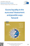 Excess liquidity in the euro area? Assessment and possible ways forward