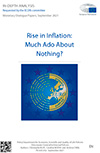 Rise in Inflation: Much Ado About Nothing?